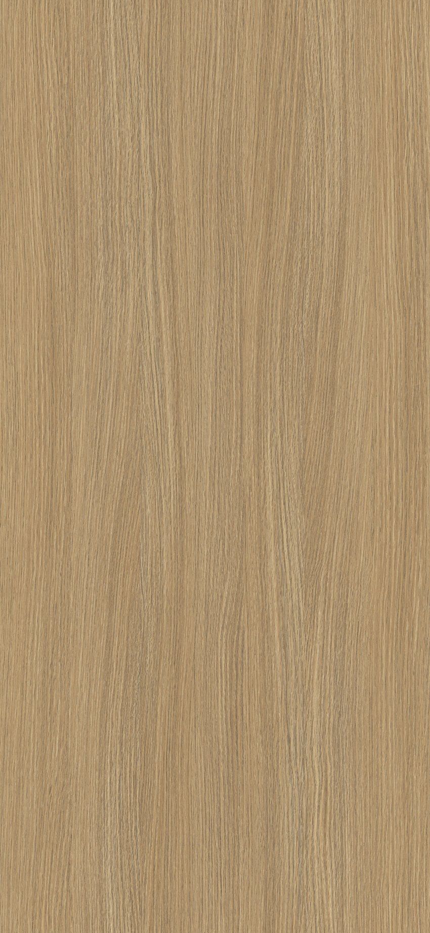 Desarrollo completo del diseño Velazquez 04 de Alvic