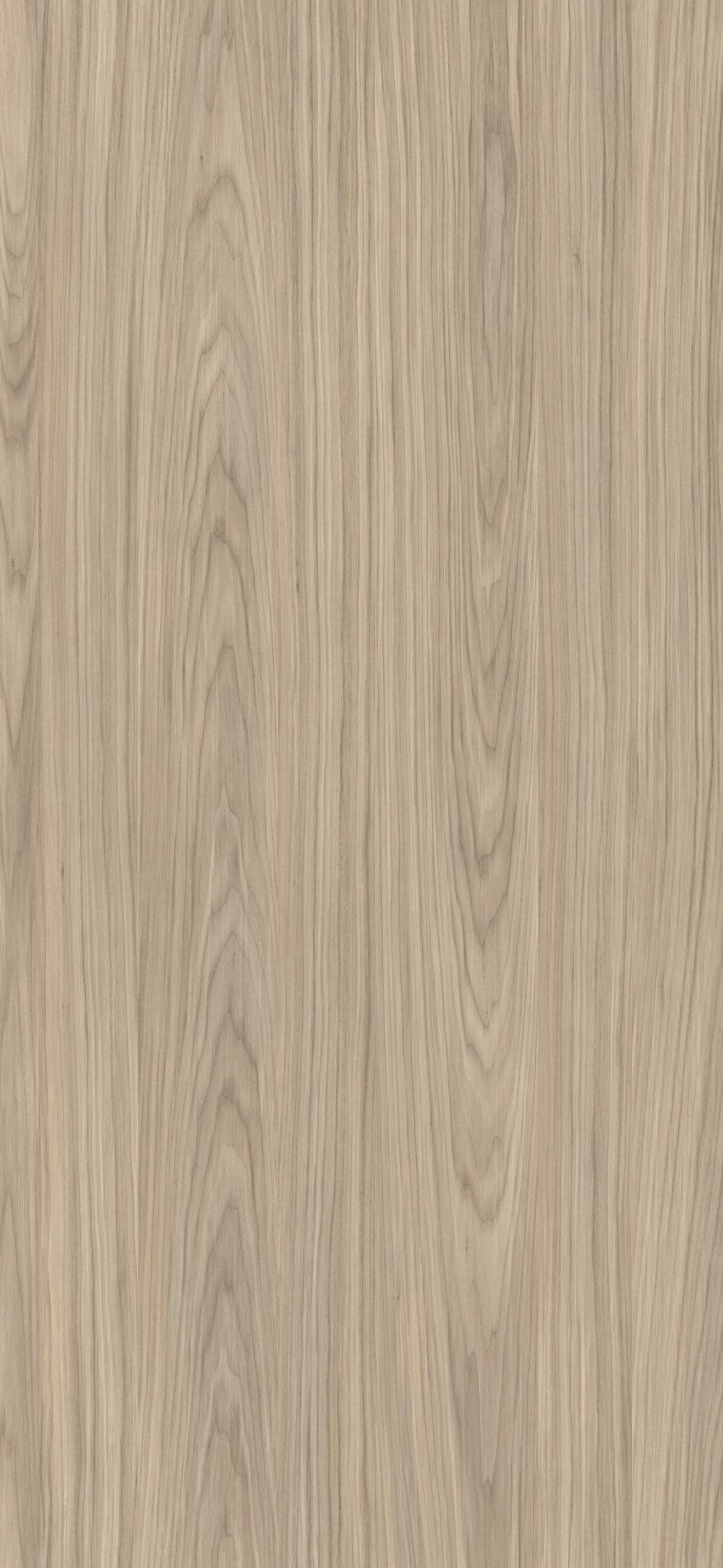 Desarrollo completo de la melamina Lara Walnut de Finsa